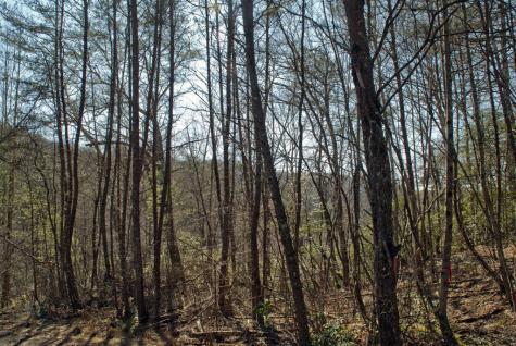 1A/B,2,3 Riverbend Trail Hayesville NC 28904