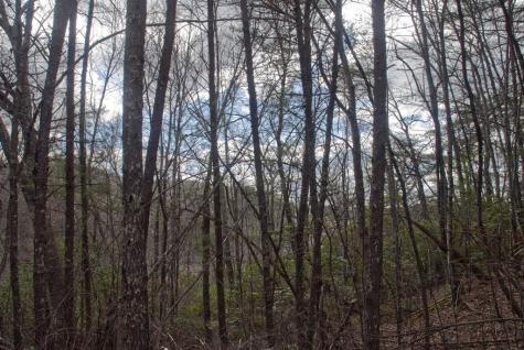 1A/B,2,3 Riverbend Trail Hayesville NC 28904