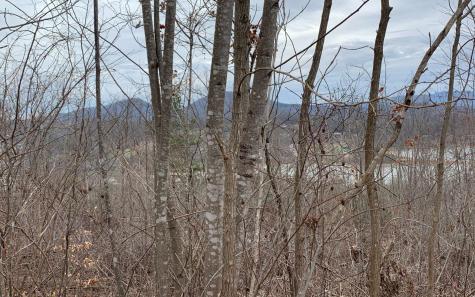 Lt 17 Ramey Mountain Road Hiawassee GA 30546