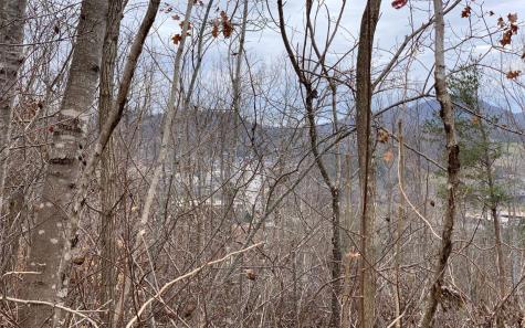 Lt 17 Ramey Mountain Road Hiawassee GA 30546