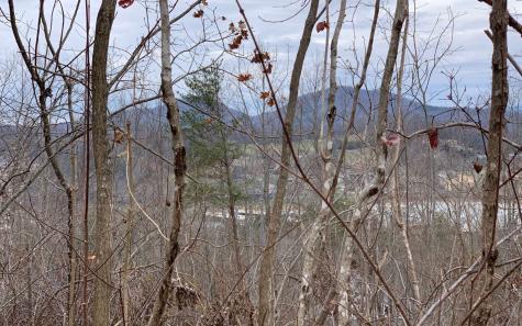 Lt 17 Ramey Mountain Road Hiawassee GA 30546