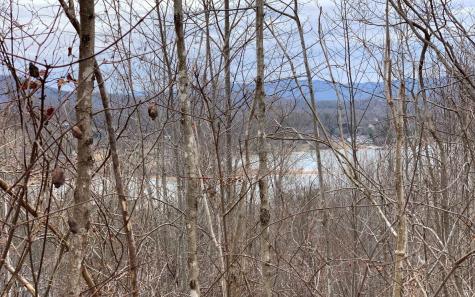 Lt 17 Ramey Mountain Road Hiawassee GA 30546