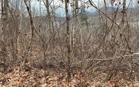 Lt 17 Ramey Mountain Road Hiawassee GA 30546