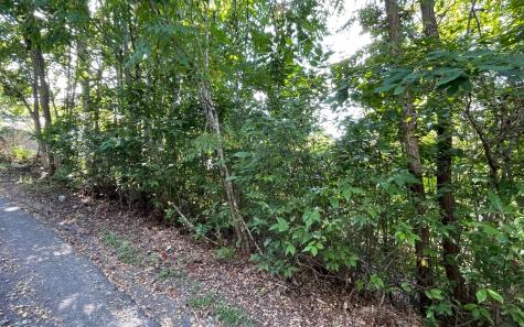 Lt 17 Ramey Mountain Road Hiawassee GA 30546