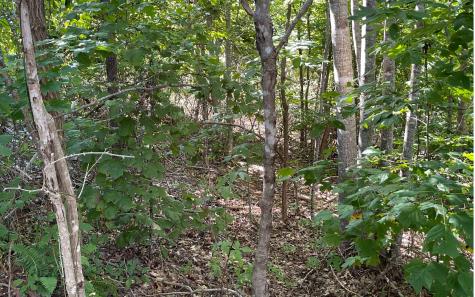 Lt 17 Ramey Mountain Road Hiawassee GA 30546