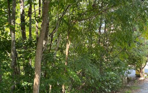 Lt 17 Ramey Mountain Road Hiawassee GA 30546