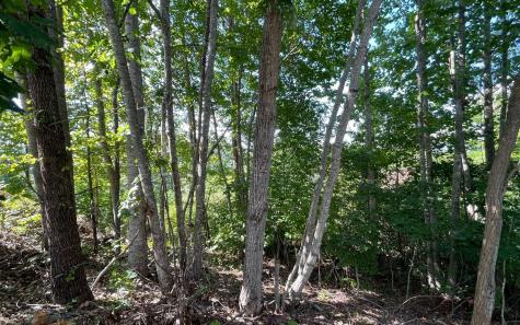 Lt 17 Ramey Mountain Road Hiawassee GA 30546