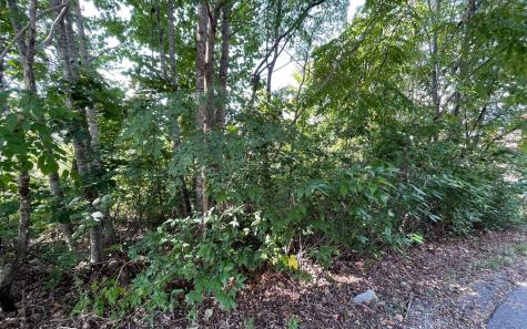 Lt 17 Ramey Mountain Road Hiawassee GA 30546