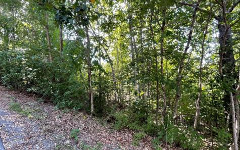 Lt 17 Ramey Mountain Road Hiawassee GA 30546