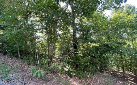 Lt 17 Ramey Mountain Road Hiawassee GA 30546