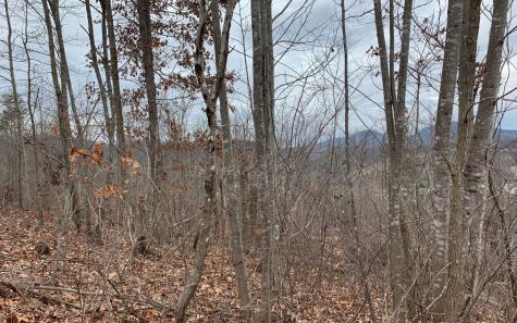 Lt 17 Ramey Mountain Road Hiawassee GA 30546