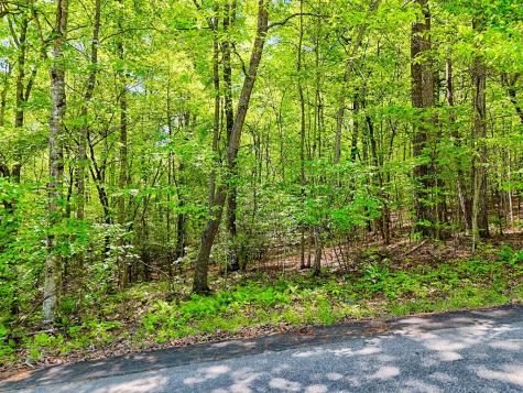 Lots 3&5 Cozy Cove Road Blairsville GA 30512