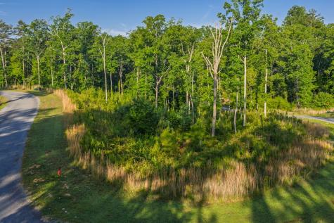 Lot 179 Canoe Point Ellijay GA 30540