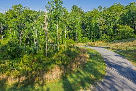 Lot 179 Canoe Point Ellijay GA 30540