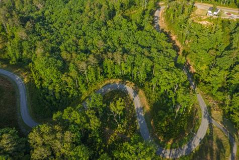 Lot 179 Canoe Point Ellijay GA 30540