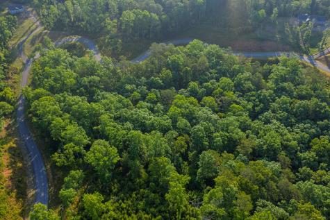 Lot 179 Canoe Point Ellijay GA 30540