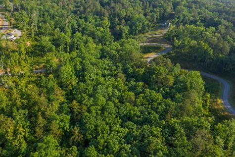 Lot 179 Canoe Point Ellijay GA 30540