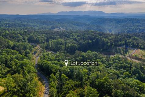 Lot 179 Canoe Point Ellijay GA 30540