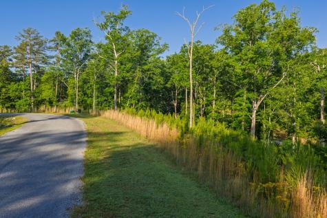 Lot 179 Canoe Point Ellijay GA 30540