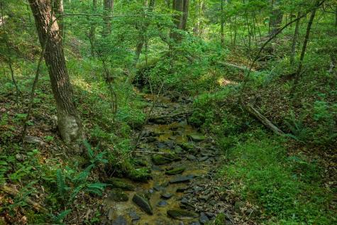 Lot 179 Canoe Point Ellijay GA 30540