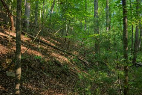 Lot 179 Canoe Point Ellijay GA 30540