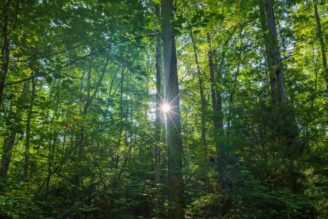 Lot 179 Canoe Point Ellijay GA 30540