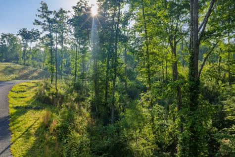 Lot 179 Canoe Point Ellijay GA 30540