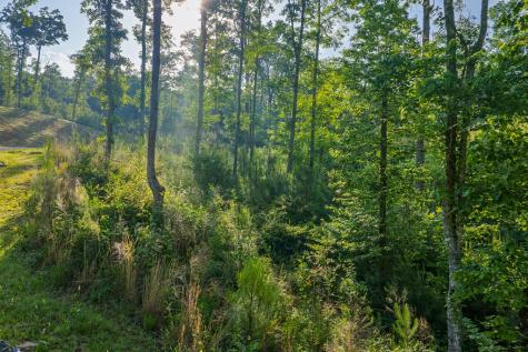 Lot 179 Canoe Point Ellijay GA 30540