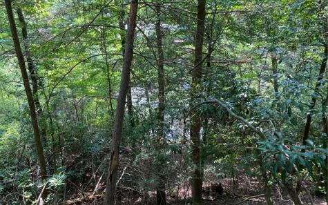 Lot 645 Wedowee Court (lot 645) Ellijay GA 30540