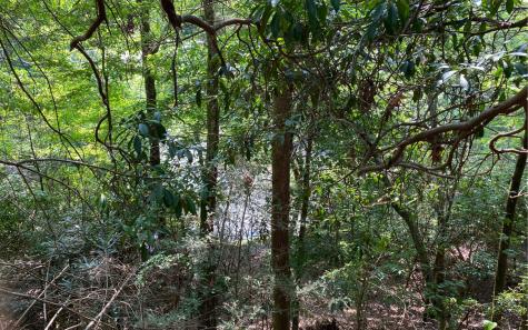 Lot 645 Wedowee Court (lot 645) Ellijay GA 30540