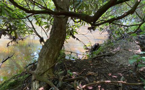 Lot 645 Wedowee Court (lot 645) Ellijay GA 30540