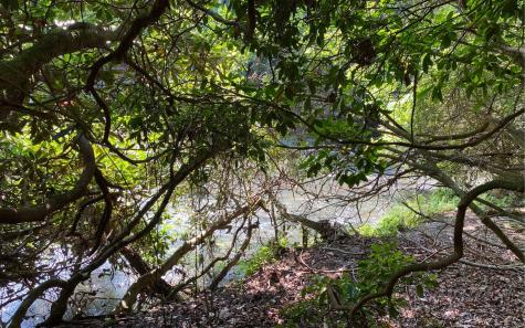 Lot 645 Wedowee Court (lot 645) Ellijay GA 30540