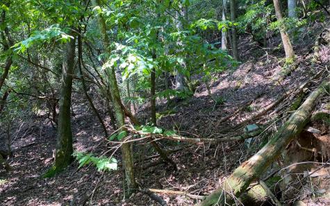 Lot 645 Wedowee Court (lot 645) Ellijay GA 30540