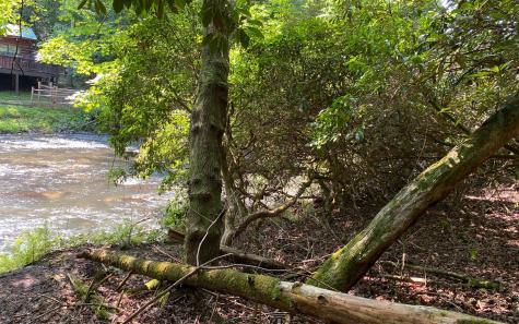 Lot 645 Wedowee Court (lot 645) Ellijay GA 30540