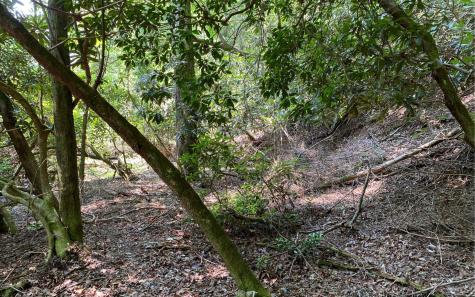 Lot 645 Wedowee Court (lot 645) Ellijay GA 30540