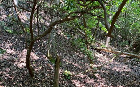 Lot 645 Wedowee Court (lot 645) Ellijay GA 30540