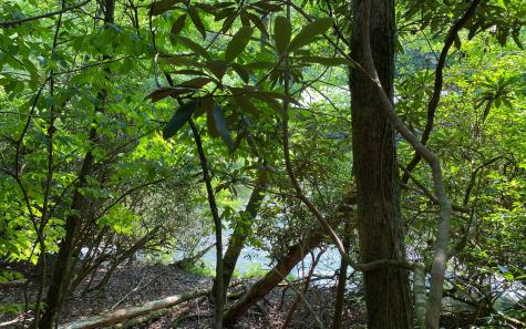 Lot 645 Wedowee Court (lot 645) Ellijay GA 30540