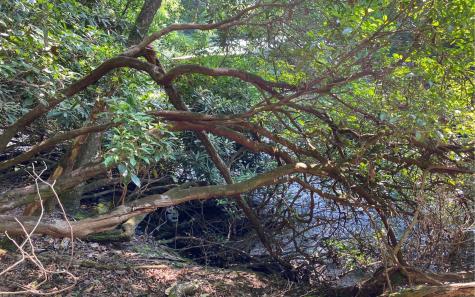 Lot 645 Wedowee Court (lot 645) Ellijay GA 30540