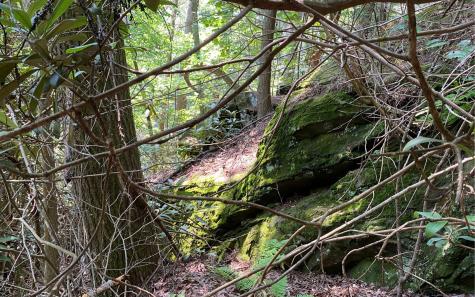 Lot 645 Wedowee Court (lot 645) Ellijay GA 30540