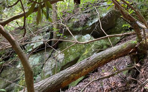 Lot 645 Wedowee Court (lot 645) Ellijay GA 30540