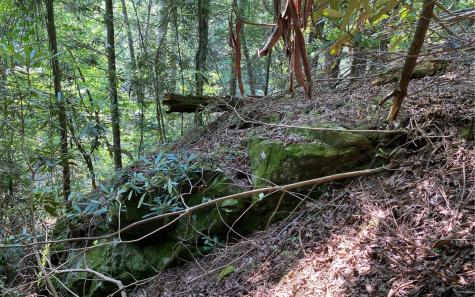 Lot 645 Wedowee Court (lot 645) Ellijay GA 30540