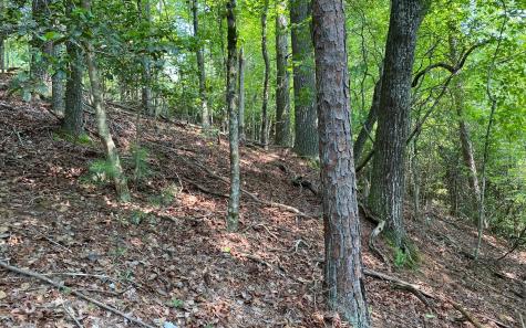 Lot 645 Wedowee Court (lot 645) Ellijay GA 30540
