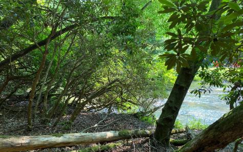 Lot 645 Wedowee Court (lot 645) Ellijay GA 30540