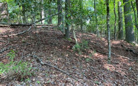 Lot 645 Wedowee Court (lot 645) Ellijay GA 30540