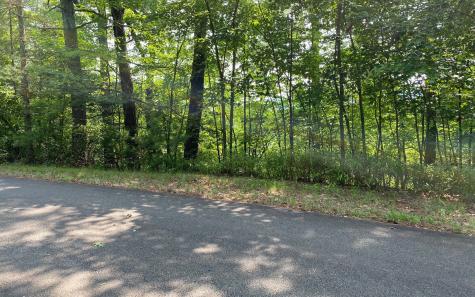 Lot 645 Wedowee Court (lot 645) Ellijay GA 30540