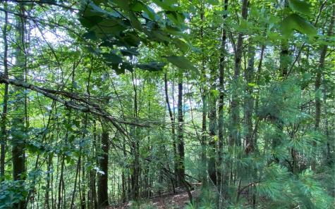 Lot 645 Wedowee Court (lot 645) Ellijay GA 30540