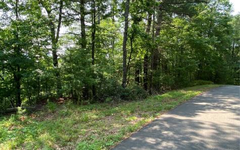 Lot 645 Wedowee Court (lot 645) Ellijay GA 30540