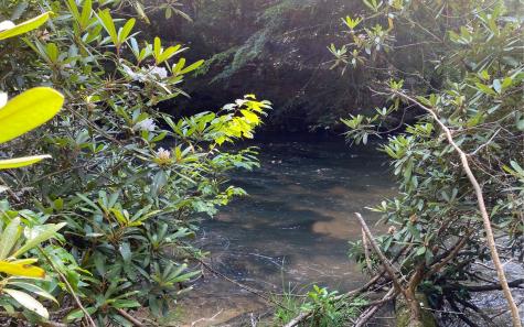 Lot 645 Wedowee Court (lot 645) Ellijay GA 30540