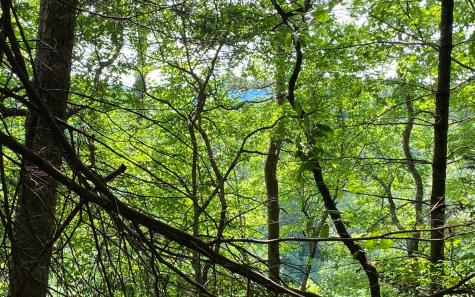 Lot 645 Wedowee Court (lot 645) Ellijay GA 30540