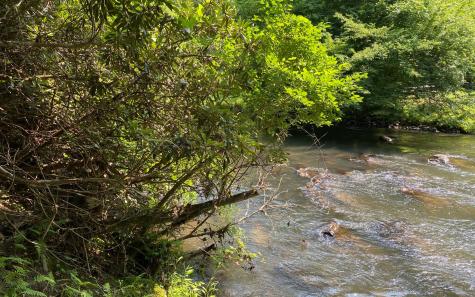 Lot 645 Wedowee Court (lot 645) Ellijay GA 30540